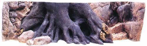 Back to Nature Amazonas 200x60cm