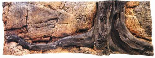 Back to Nature Amazonas150x50cm