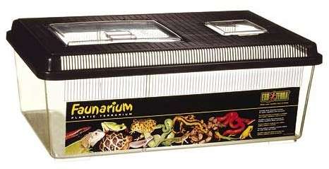 Exo Terra Faunarium 46x31x17cm