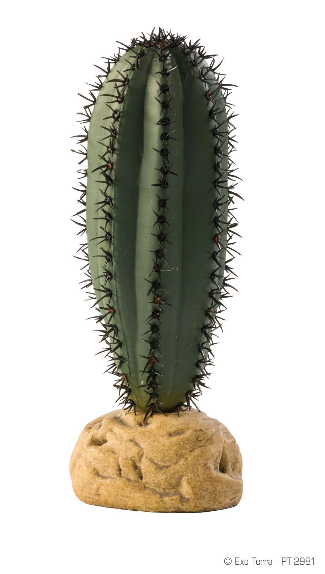 Exo terra Saguaro Cactus