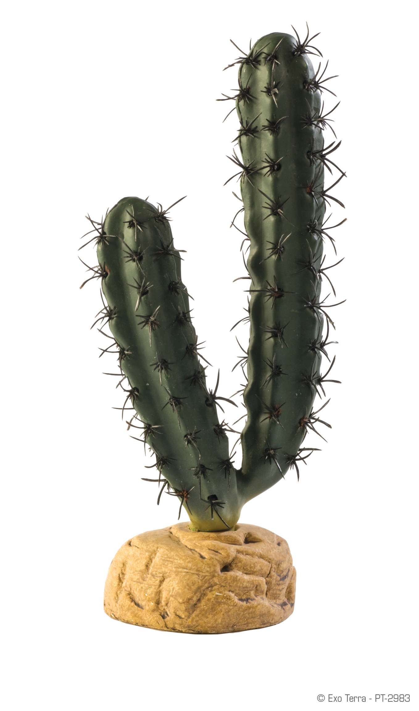 Exo Terra Fingerkaktus