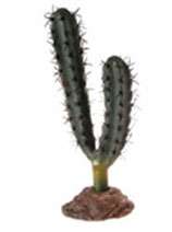 hobby Cactus Kalahari, ca 19cm