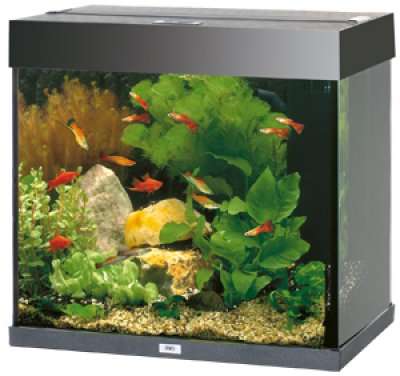 Juwel Lido 120 LED Sort