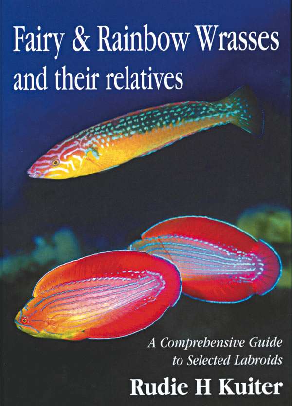 Fairy & Rainbow Wrasses and Their Relatives