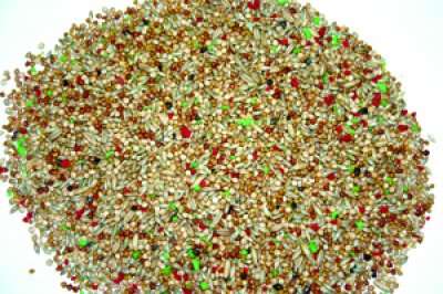 Bello Undulatblanding Vitamintilskudd 5KG