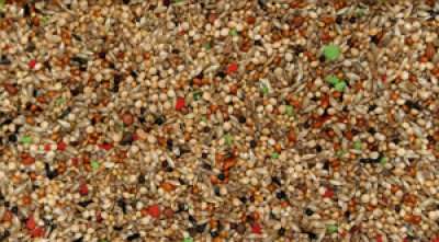 Bello Finkblanding med vitamintilskudd 5kg