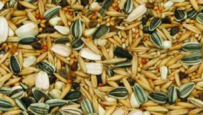 Bello Parakittblanding 5kg