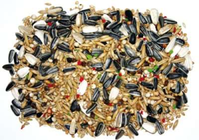 Bello Parakittblanding vitamintillsettning 5kg