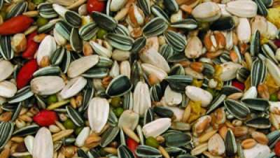 Bello Papegøyeblanding 4kg