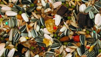 Bello Papegøyeblanding Vitamintilskudd 4kg