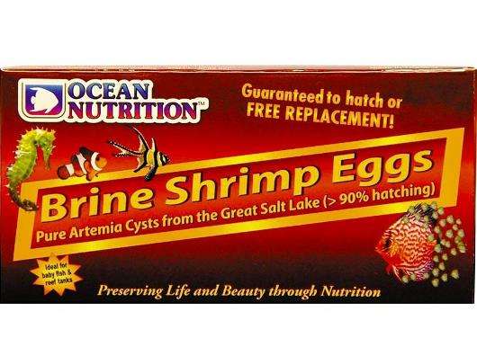 Ocean Nutrition Artemia Egg 50g