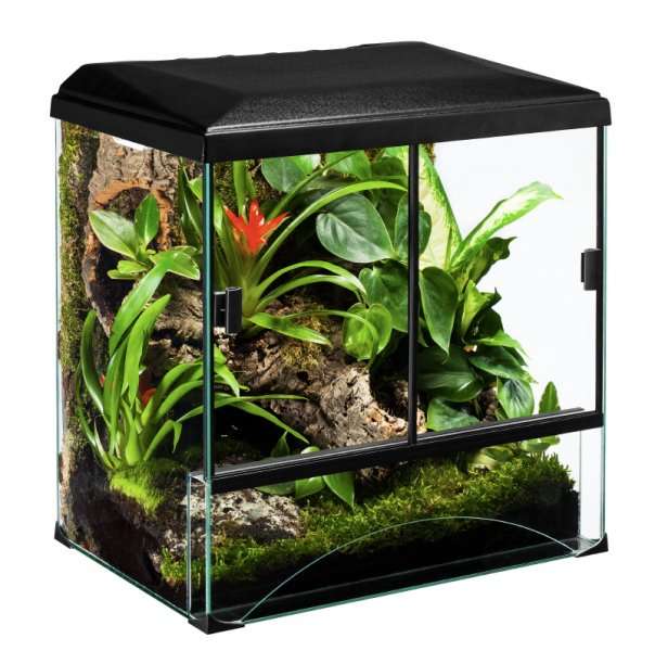 Diversa Terrarium - Terraset Forest 60x40x55cm