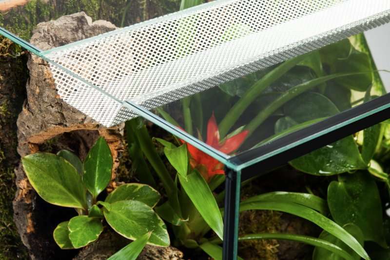 Diversa Terrarium - Terraset Desert 60x40x45cm