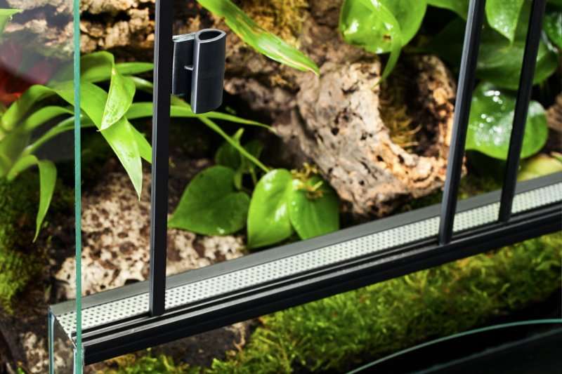 Diversa Terrarium - Terraset Forest 60x40x55cm