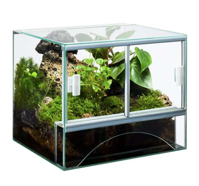 Diversa Terrarium 80x40x50cm