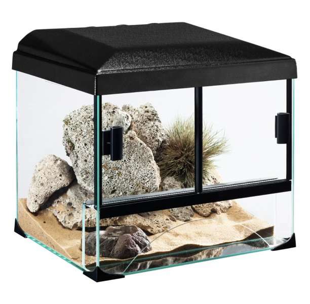 Diversa Terrarium - Terraset Desert 60x40x45cm