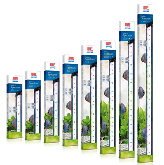 Juwel Helialux Spectrum 800 32W