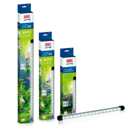 Juwel Novolux LED 60 Hvit