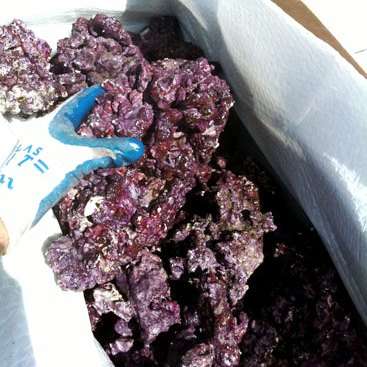 Real Reef Rock mix størrelse