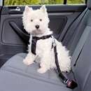 Sikkerhets sele XS 20-50xm