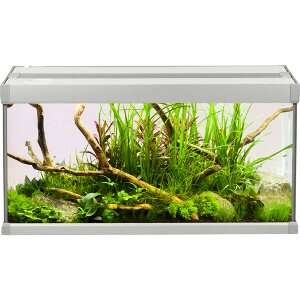 Akvastabil Family 54L