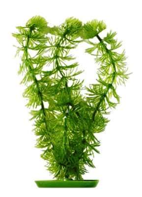 HORNWORT 30CM Kunstig plante