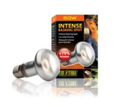 Exo Terra Intense Basking Spot 50W