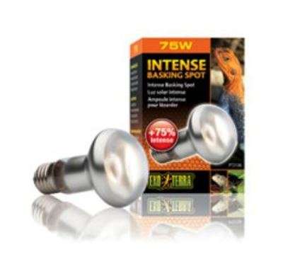 Exo Terra Intense Basking Spot 75W