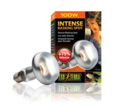 Exo Terra Intense Basking Spot 100W
