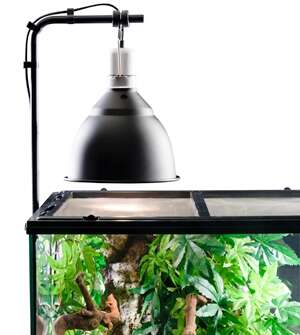 Exo Terra light bracket 3.8x21.6x 54cm