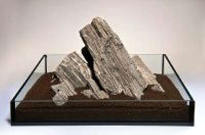 Glimmer Wood Rock pr. kg