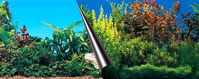 Ebi bakgrunn Beauty and Sea 60x30cm