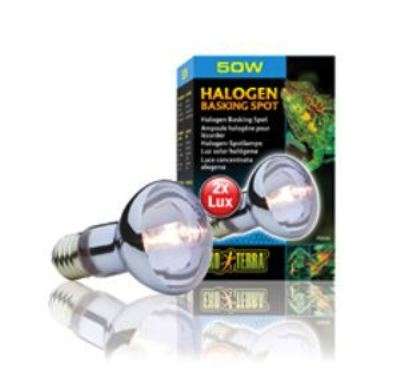 Exo Terra Halogen Basking Spot 50W