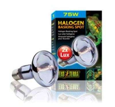 Exo Terra Halogen Basking Spot 75W