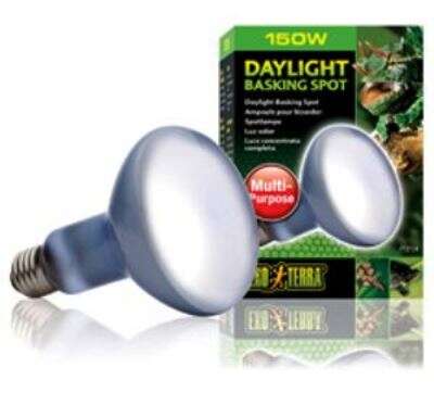 Exo Terra Daylight Basking Spot Grønn150W E27