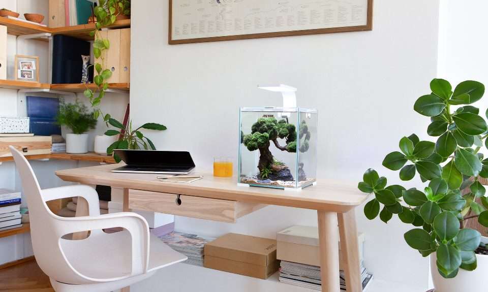 Aquael Shrimp set 30 Night and Day Hvit