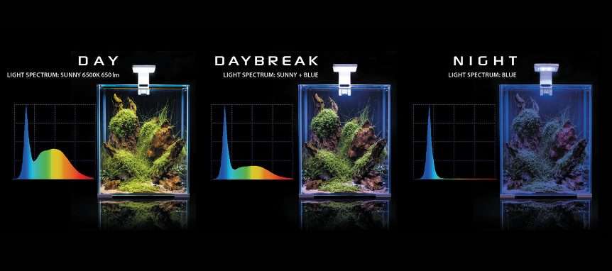 Aquael Shrimp set 30 Night and Day Svart