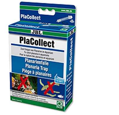 JBL PlaCollect Planaria felle
