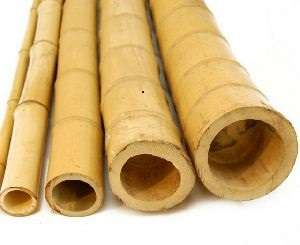 Bambusrør Ø70-90mm
