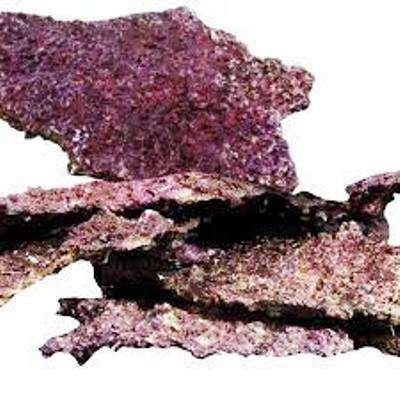 Real Reef Rock Plate