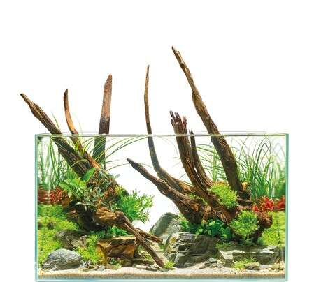 Oase ScaperLine 60 Akvarium