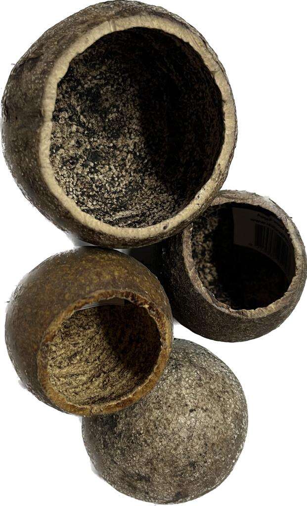 Aqualex Apple Wood skjulested