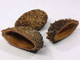 Aqualex Bolsa de Pastor halv skall