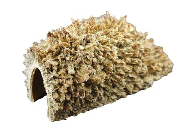 Aqualex Bolsa de Pastor hule