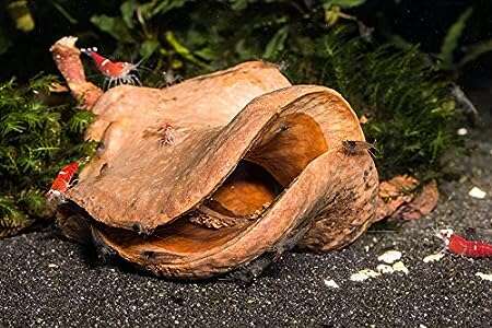 Aqualex Froskemunn pod