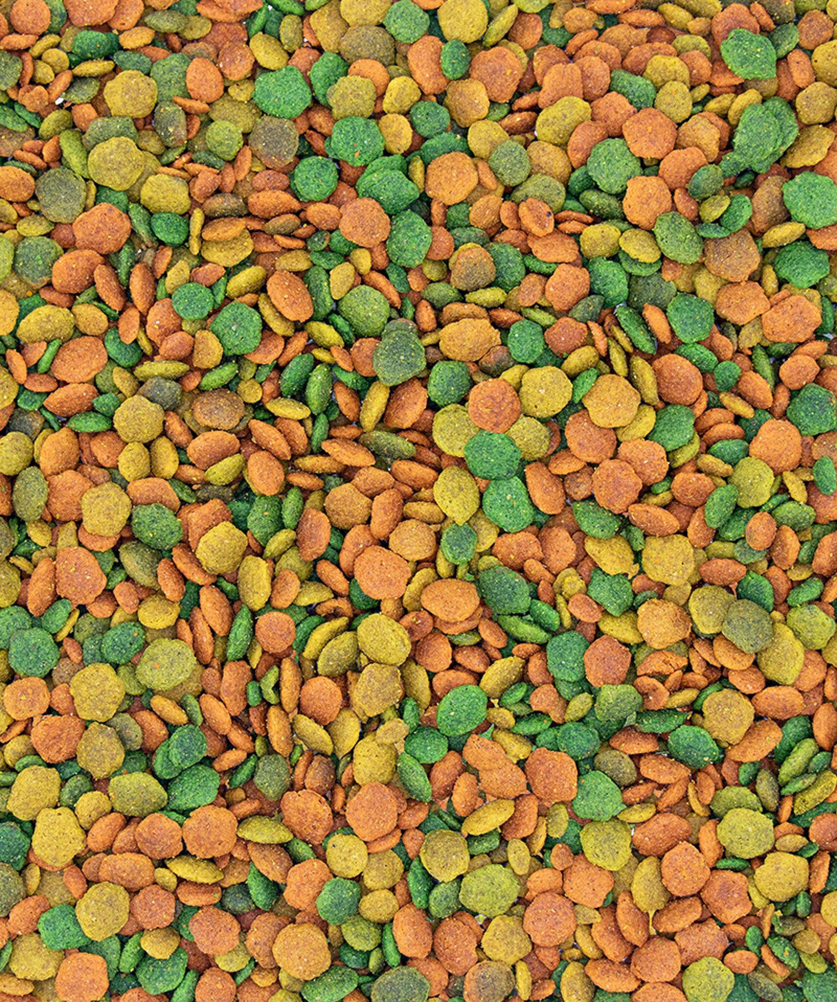 Nutribird G14 Tropical 1kg