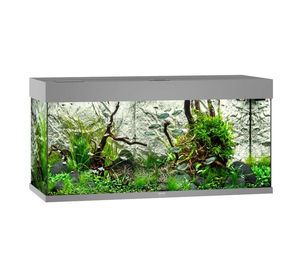 Juwel Rio 180 LED Akvarium Grå