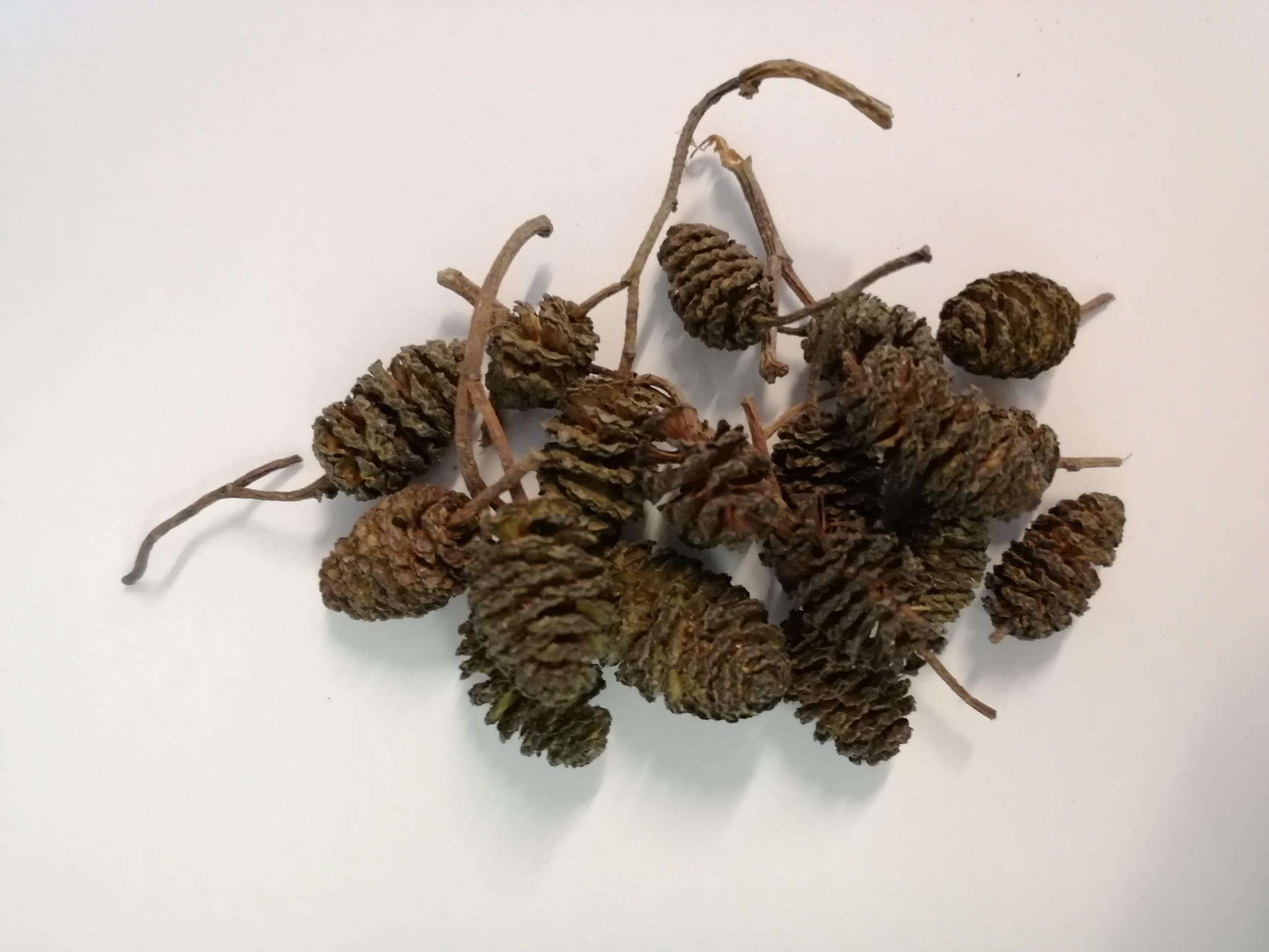 Aqualex Orekongler 25g