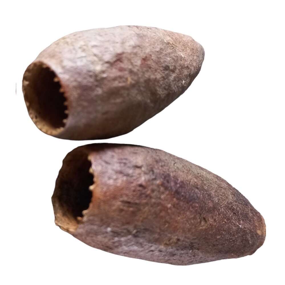 Aqualex Savu pod/Jequitiba 6-9cm