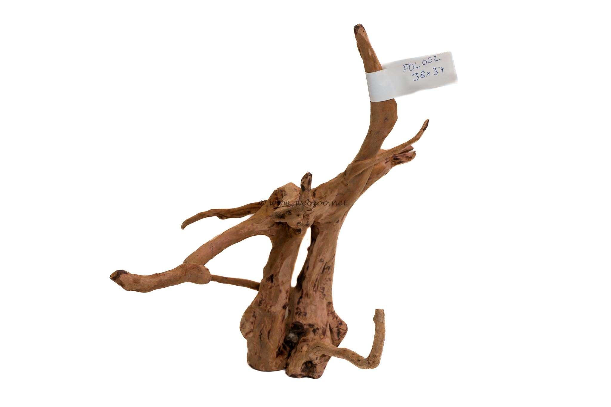 Hugo Polished Wood 2 38x37